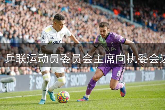 乒联运动员委员会主席向执委会述职